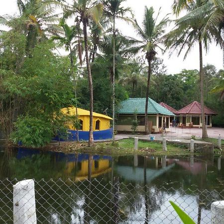 Coorg Anekad Jungle Stay Kushālnagar 외부 사진