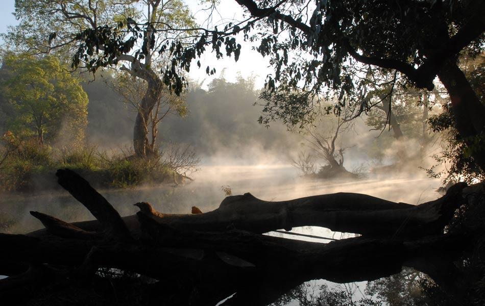 Coorg Anekad Jungle Stay Kushālnagar 외부 사진