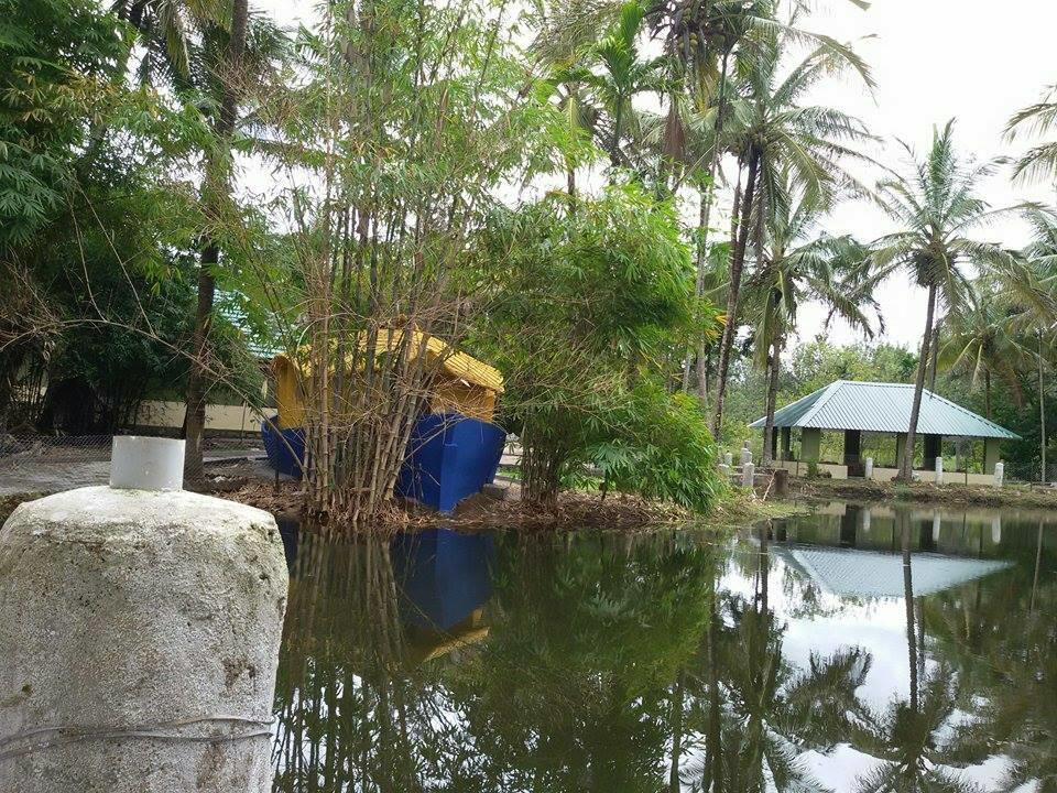 Coorg Anekad Jungle Stay Kushālnagar 외부 사진