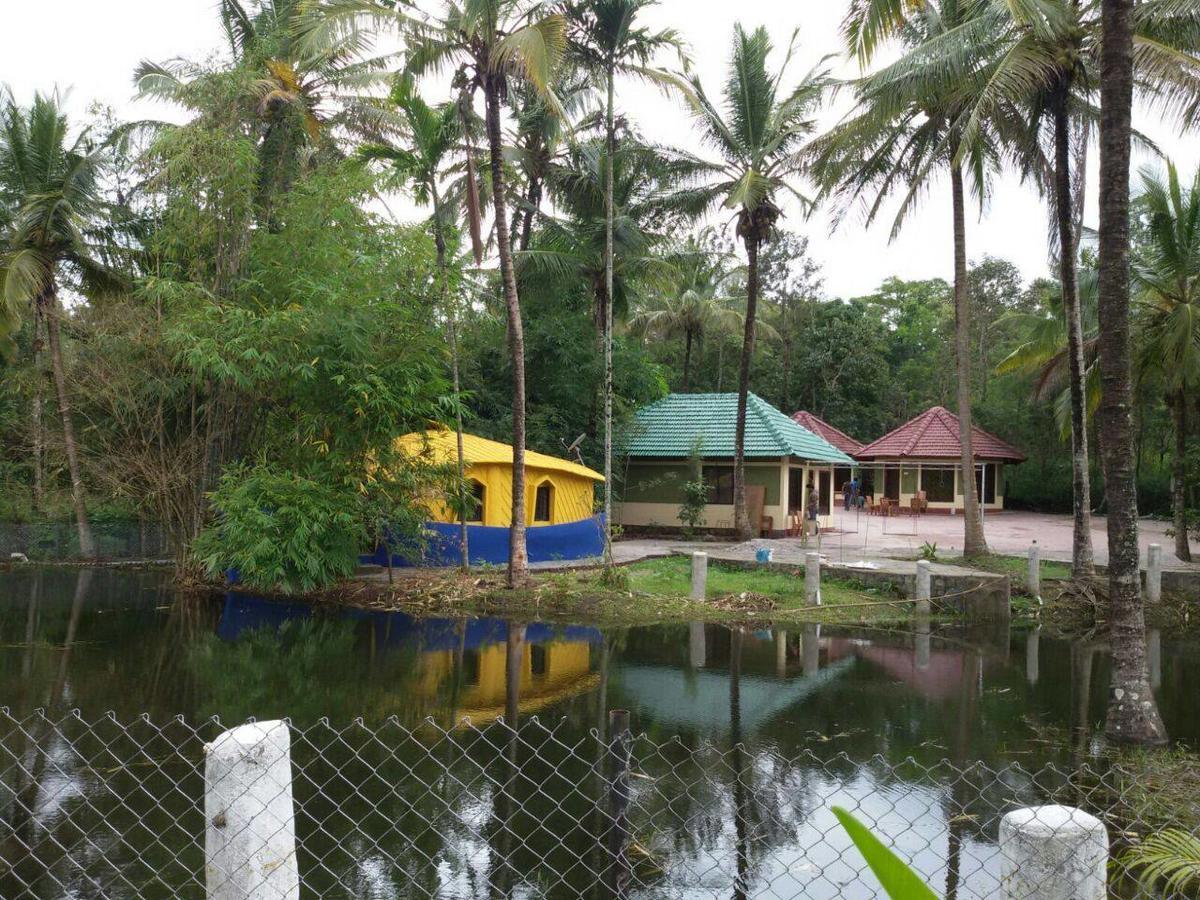 Coorg Anekad Jungle Stay Kushālnagar 외부 사진